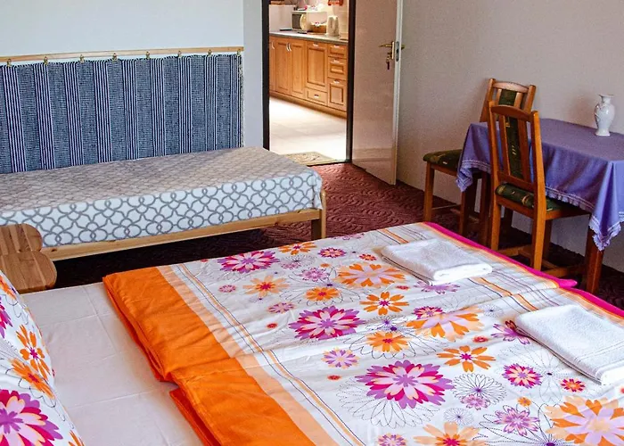 Guest house Banoporta 4*